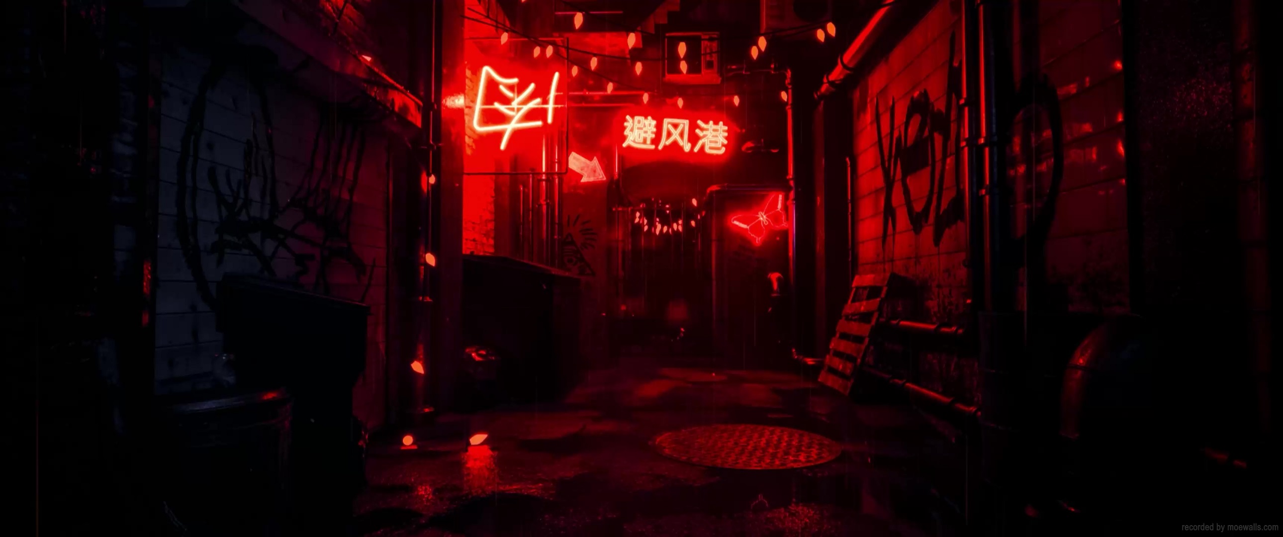 portfolio img